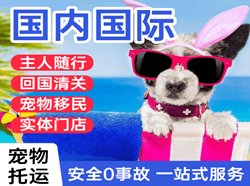 百色航空邮寄国际宠物托运 【国